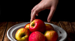 pommes-100dpi.jpg - Jeanne Laroche-photographe