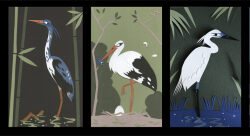 Oiseaux - Jennifer Happert-illustrateur-jeunesse