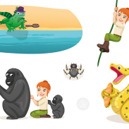 Animaux sauvages sur une plage