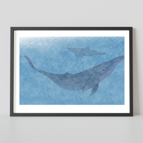 Deux dauphins en bleu dans l'eau