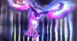 Le grand Duc - Julie Légaré-illustrateur