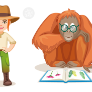 Orang-outan lisant un livre