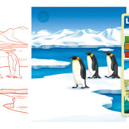 penguins le manchot