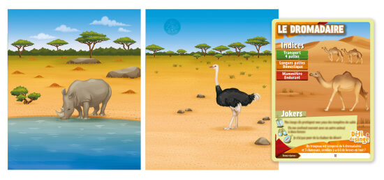 Rhino et ostrich dans le désert africain