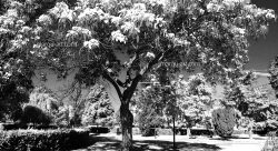 parc - Marquart Strauch-graphiste