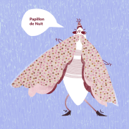 Papillon de nuit