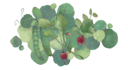 Somewhere in the garden - Mathilde Rousse-illustrateur-jeunesse