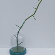 Arbre dans une cloche
