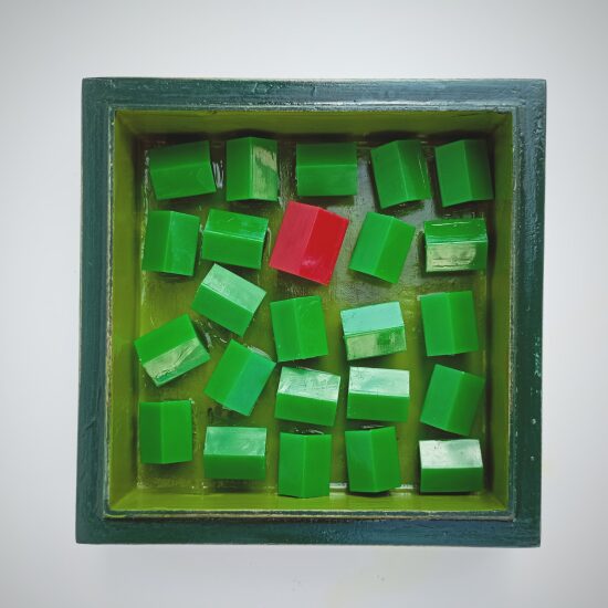Boîte en bois avec 23 cubes en plastique verts et un cube rouge