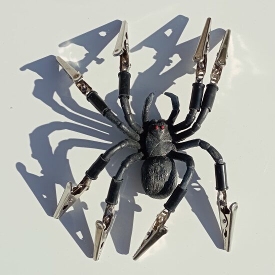 Araignée en plastique