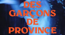 Des garçons de province, Gaël Lépingle - Sophie Porteu-autre
